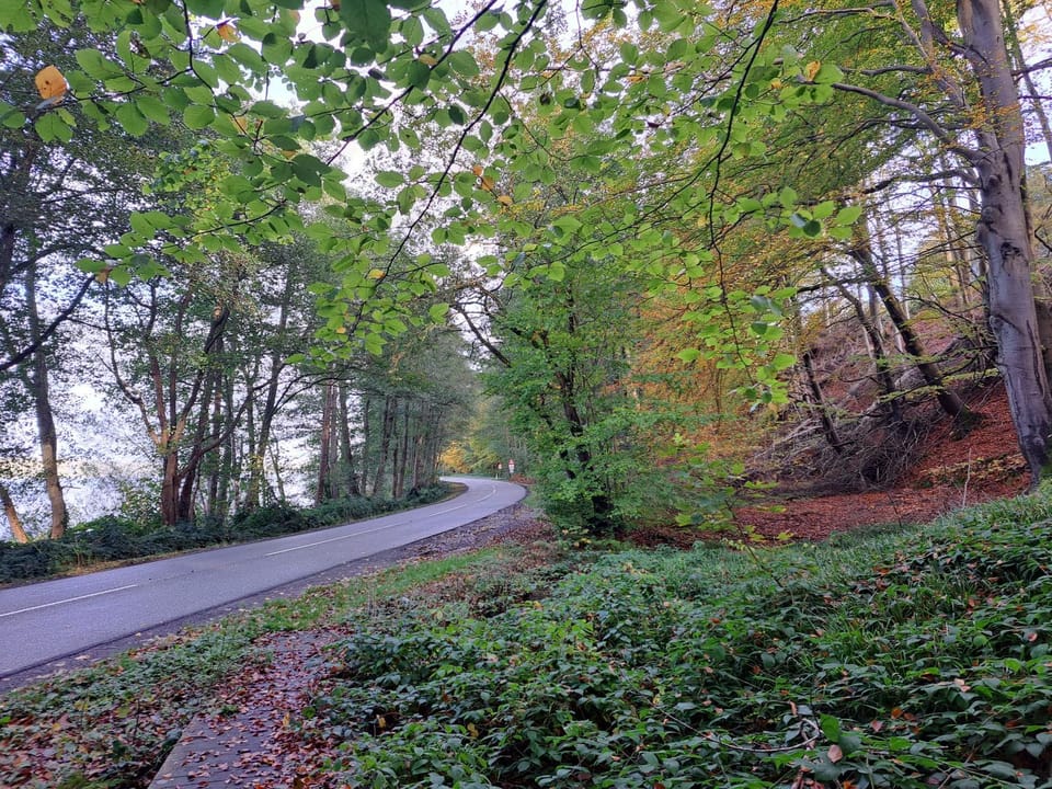 Beach, Hiking, Cycling