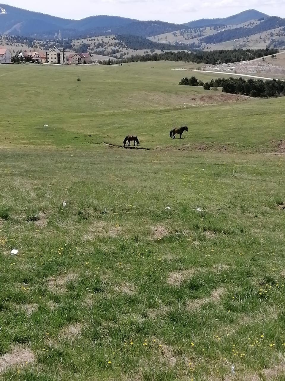 Apartman selakovic Apartment in Zlatibor
