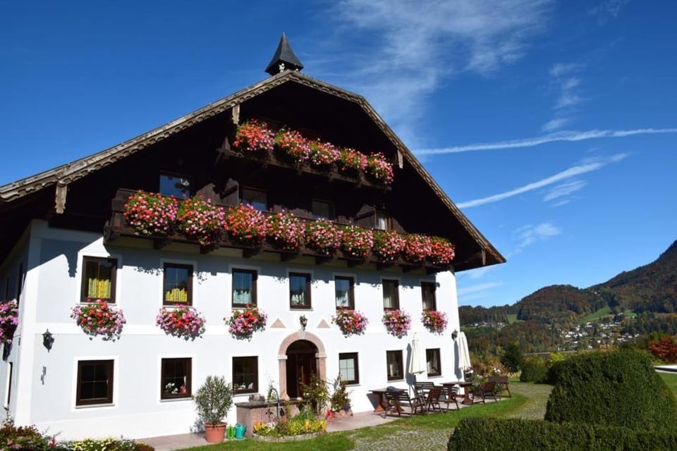 Property building, Summer