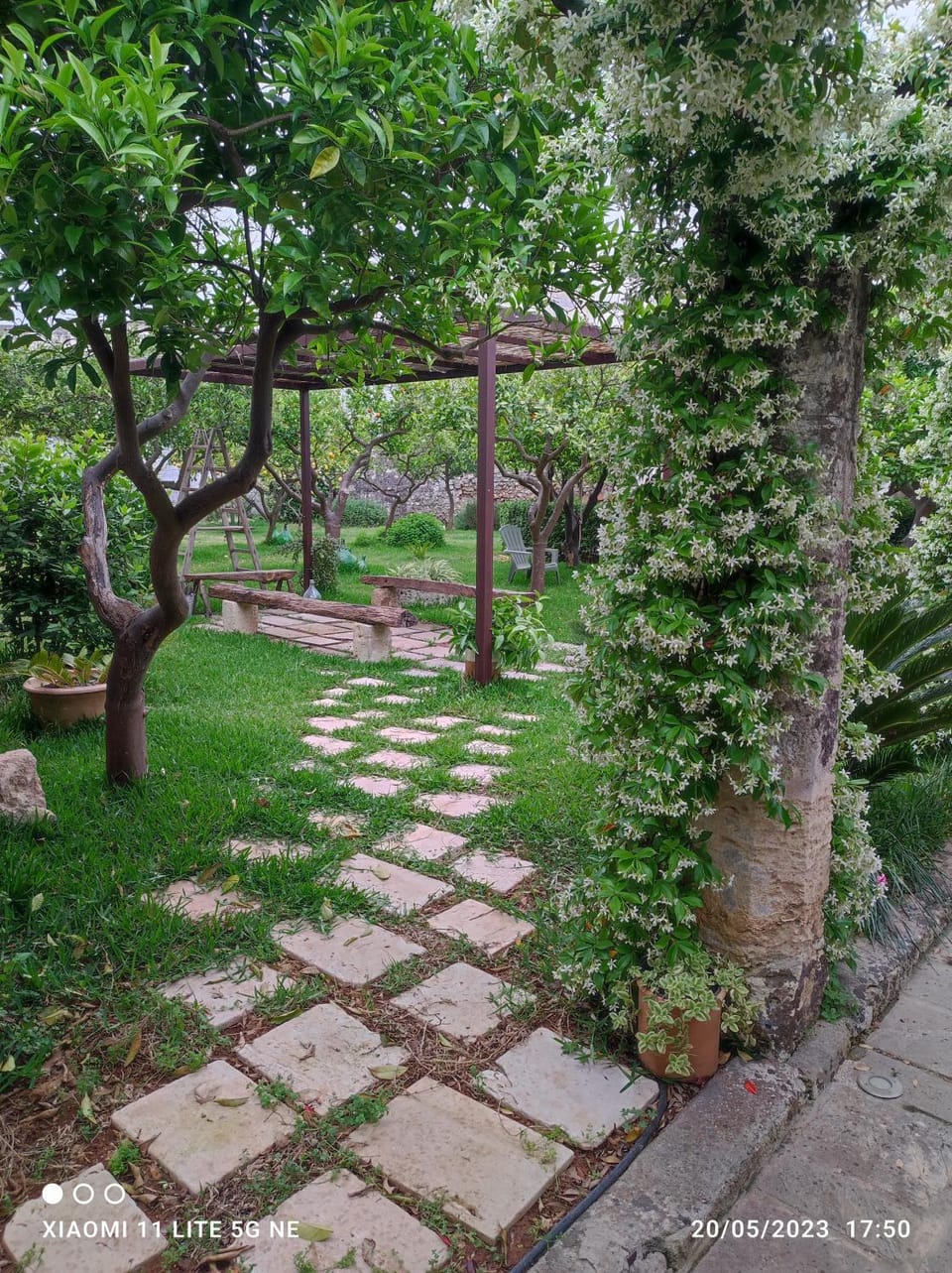 Day, Garden, Garden view