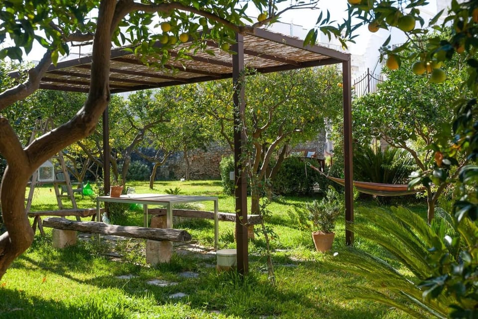 Property building, Garden, View (from property/room), Garden view
