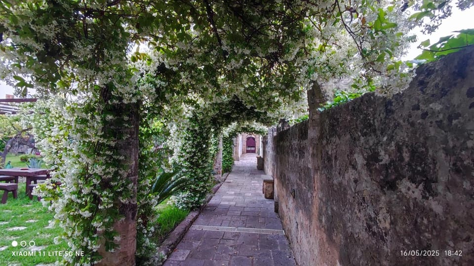 Garden, Garden view