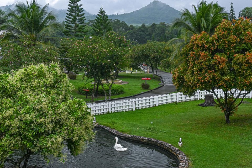 Natural landscape