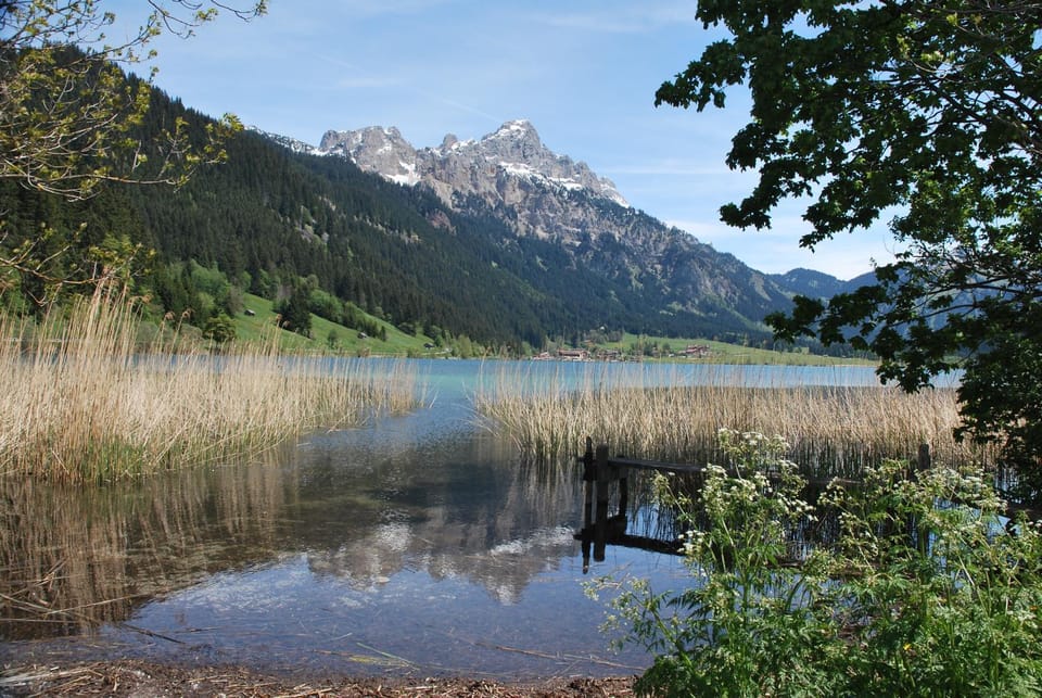 Mountain view