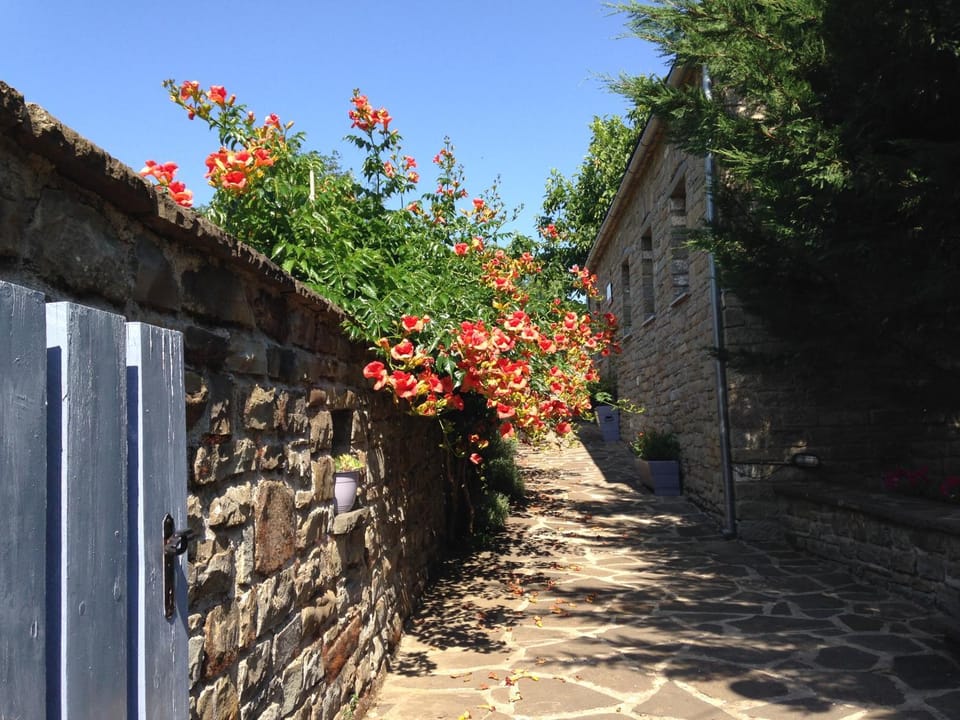 Facade/entrance, Summer, Garden view