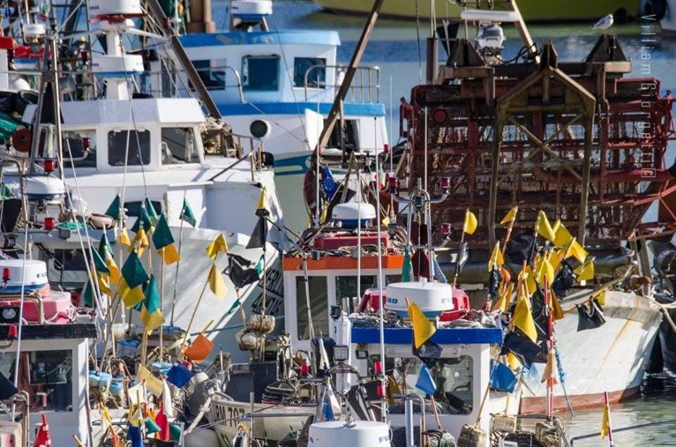 Le Stanze del Pescatore Bed and Breakfast in Bellaria - Igea Marina