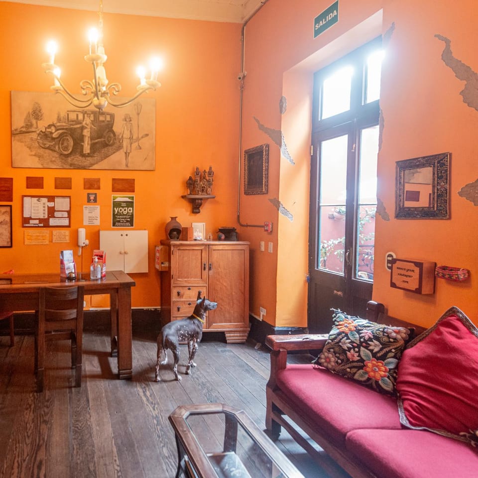 KACLLA, Urban Lodge - The Healing Dog Experience Bed and Breakfast in Miraflores