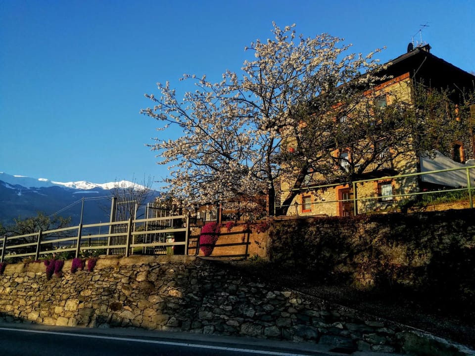 Property building, Spring