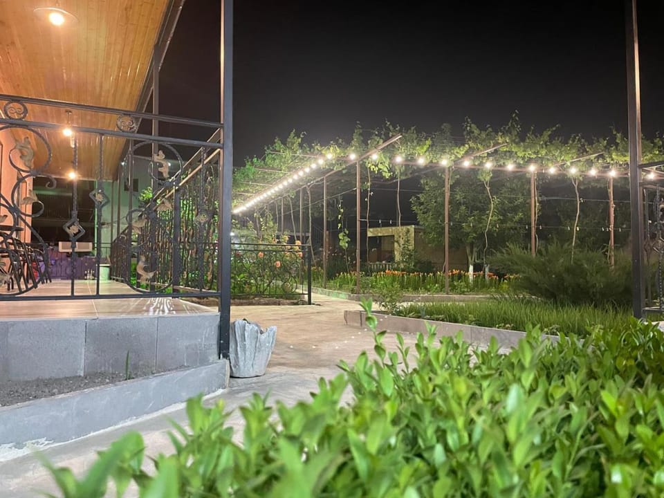 Night, Garden, Garden