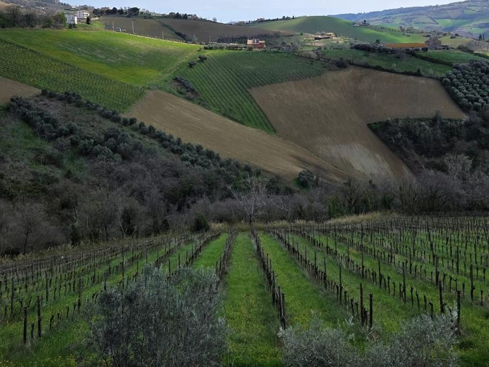 Agricola Lanciani Farm Stay in Marche