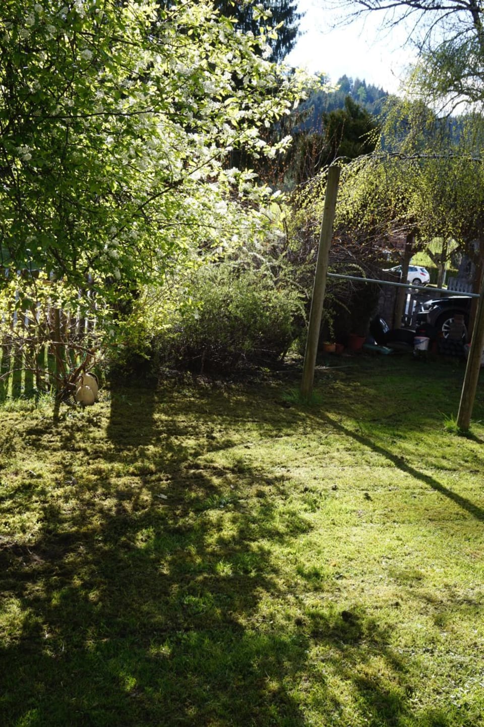 Property building, Garden view
