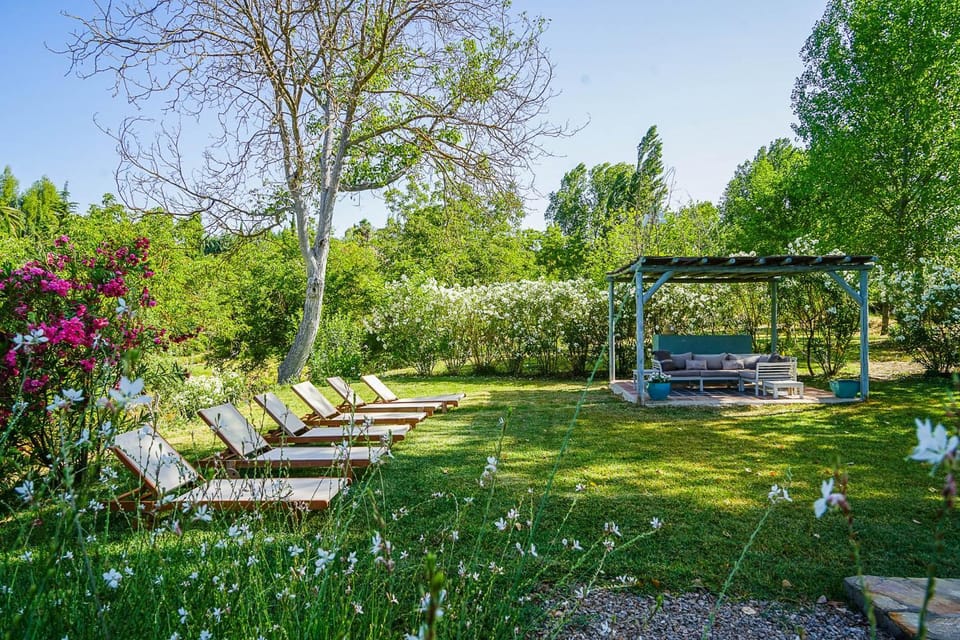 Garden, sunbed
