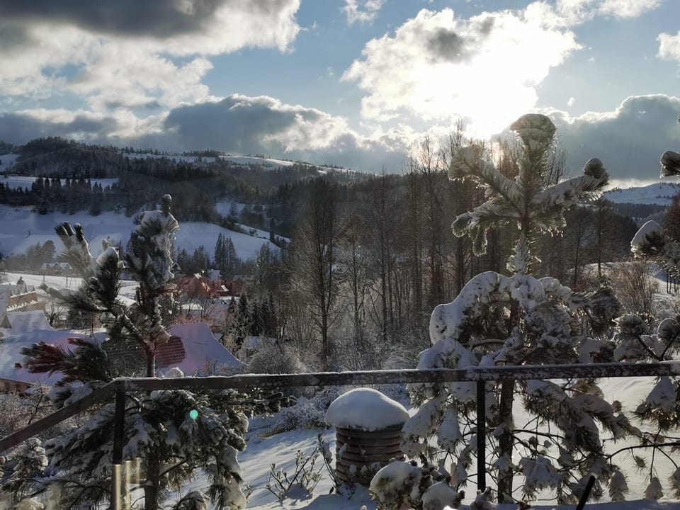 Neighbourhood, Natural landscape, Winter