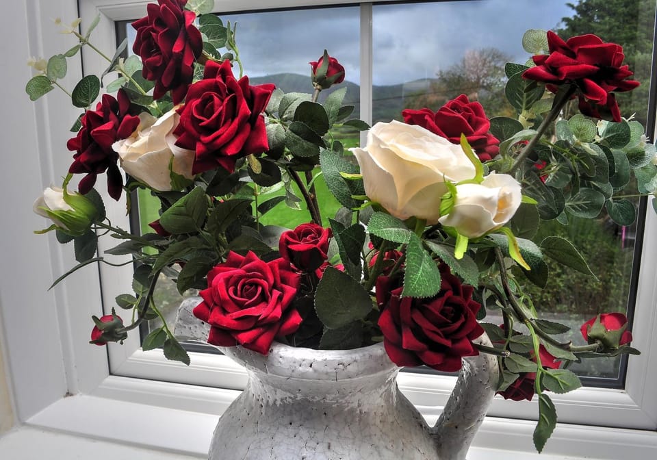 Peniarth arms Inn in Bryn-Crug