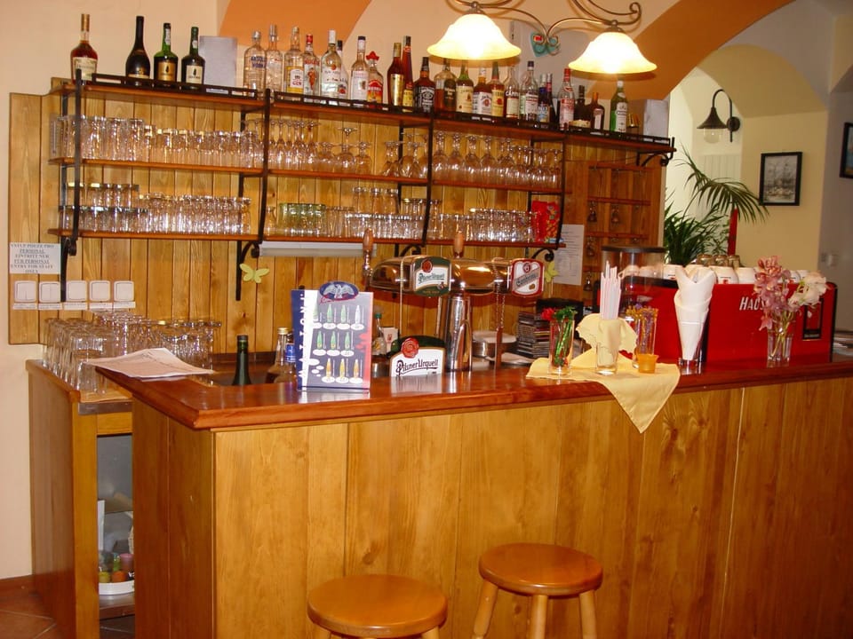 Hotel Galerie Hotel in South Bohemian Region