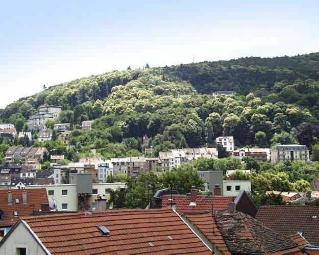 Landmark view
