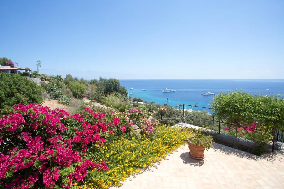 Natural landscape, Garden, Sea view