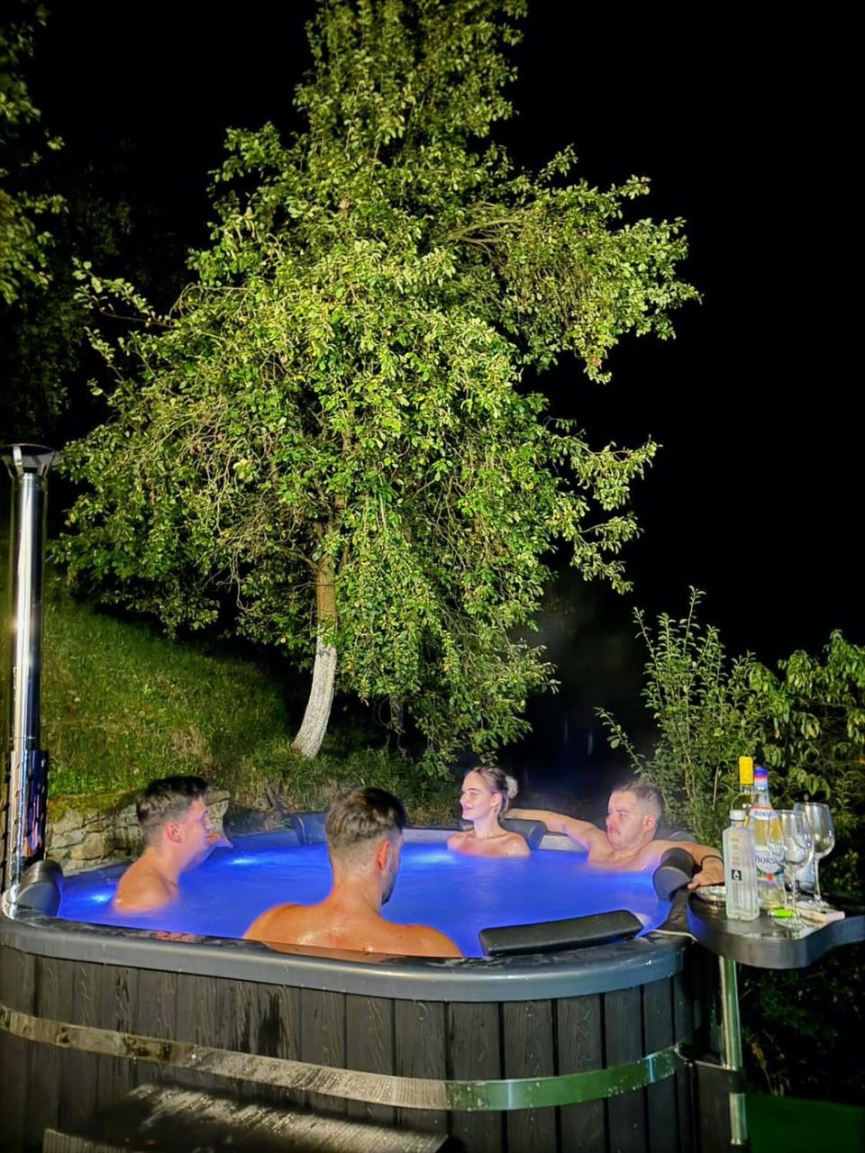 Pensiunea Dimitrios Bed and Breakfast in Serbia