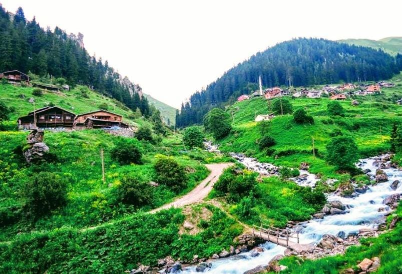 Natural landscape