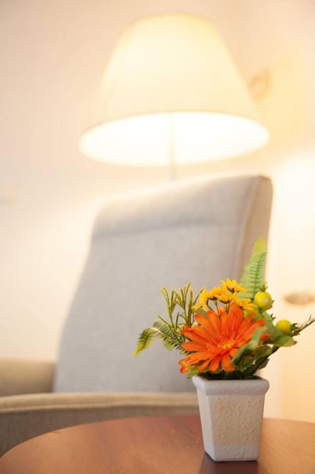 Vila Boema Bed and Breakfast in Romania