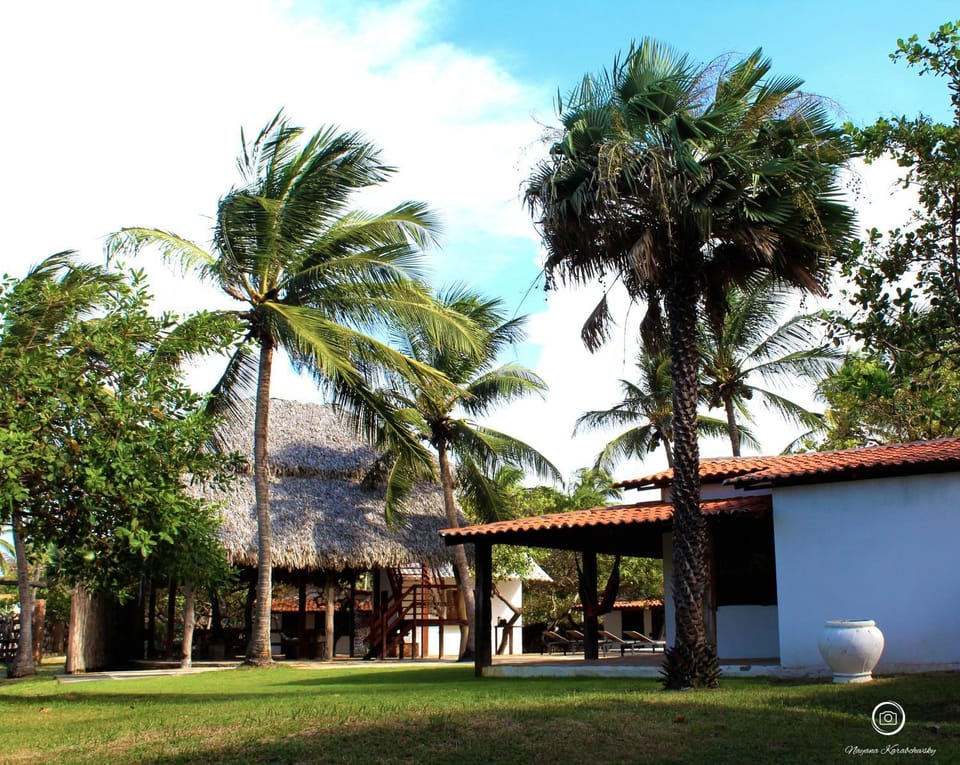 Garden, Garden