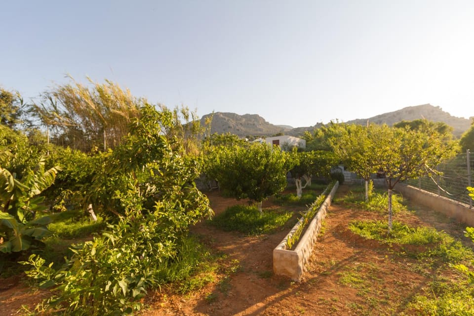 Garden, Garden view