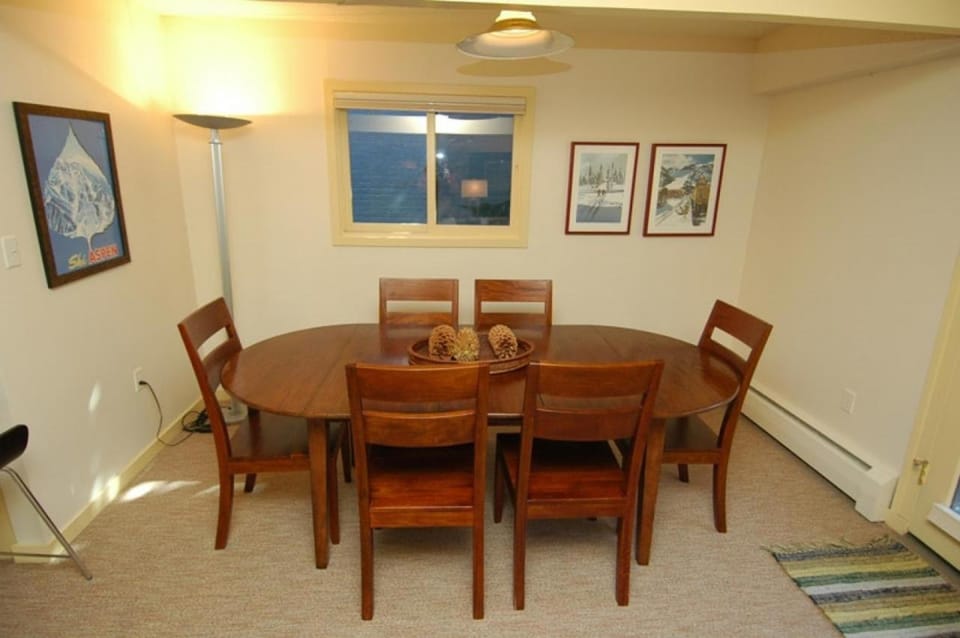 118 E. Bleeker Street Lower Level, Large Lower-Level Condo in Duplex with Private Deck House in Aspen