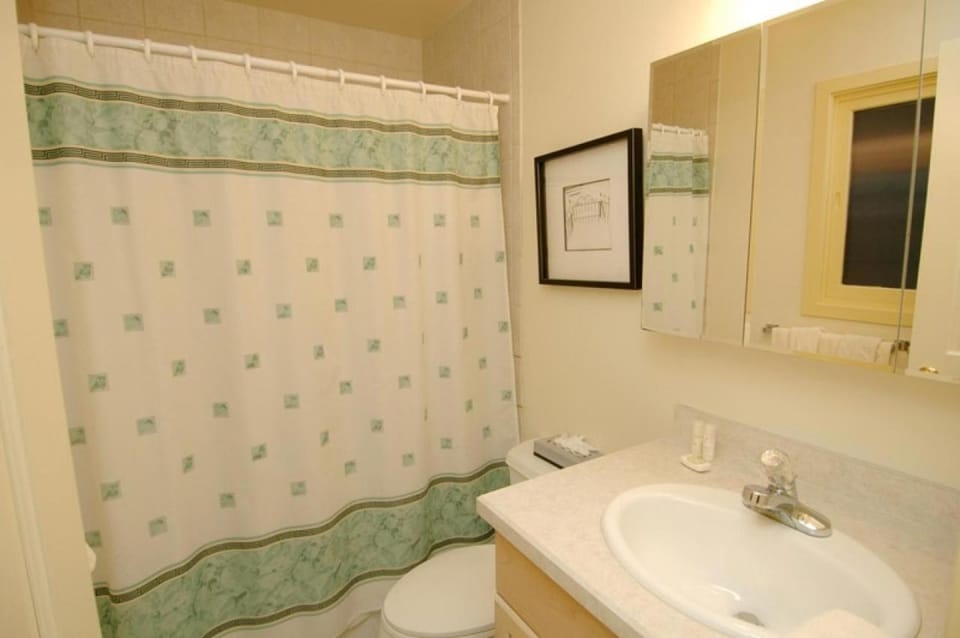 118 E. Bleeker Street Lower Level, Large Lower-Level Condo in Duplex with Private Deck House in Aspen