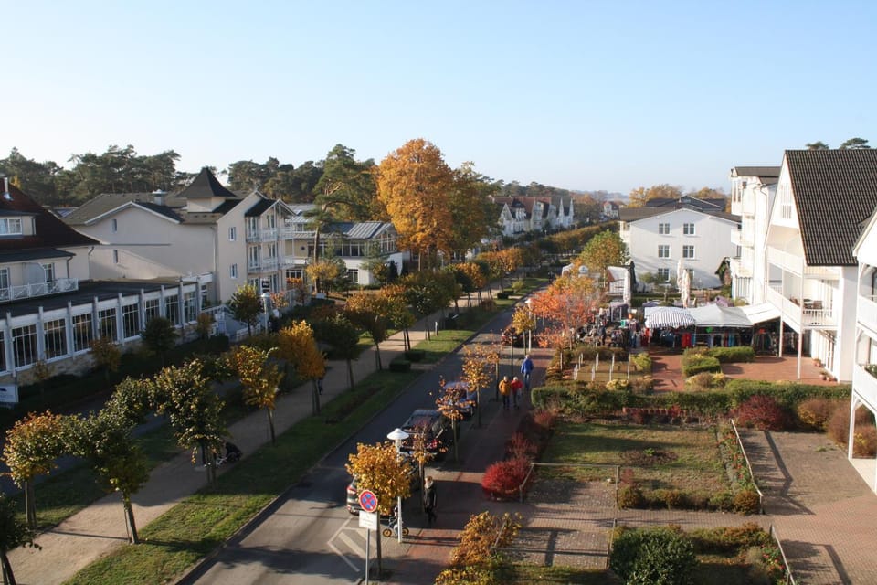 Autumn, City view, Street view