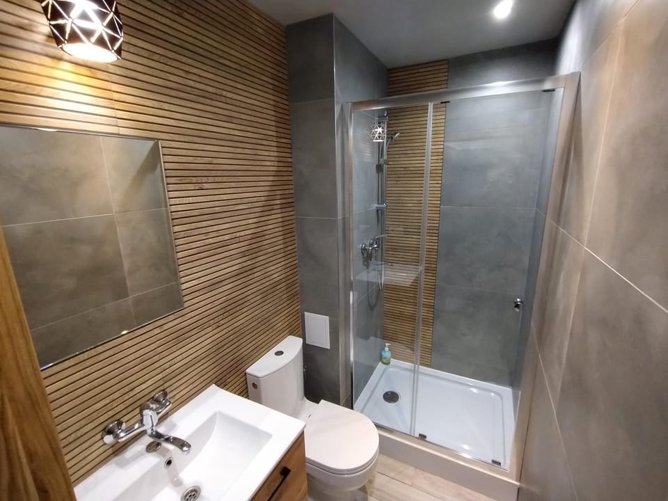 Shower, Toilet, Bathroom, towels