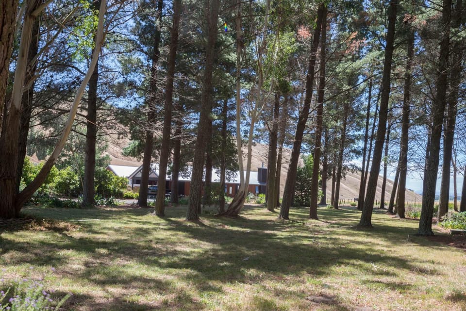Savana Estate Chalet in Hawke's Bay