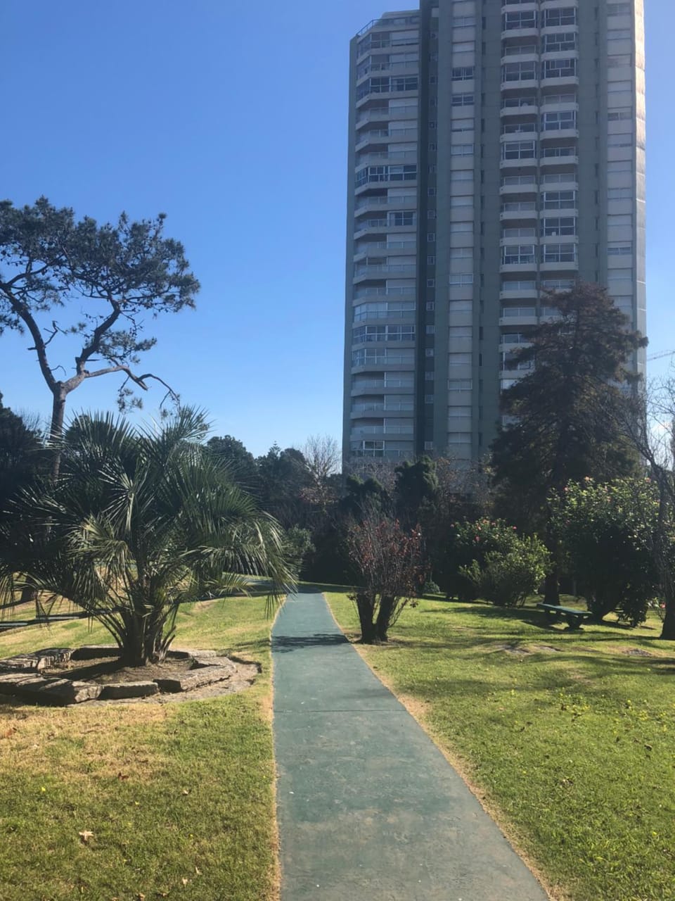 Garden view