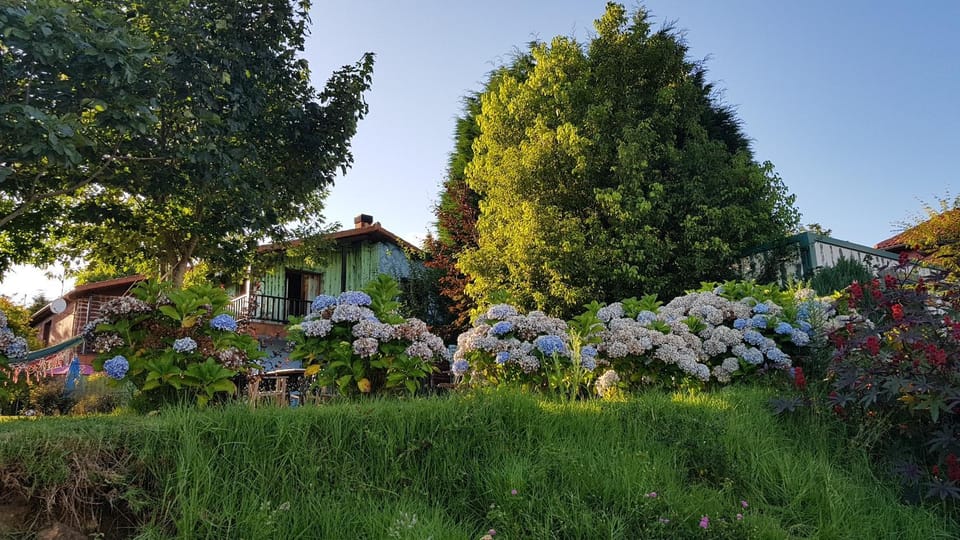 Summer, Garden, Garden view, Area and facilities