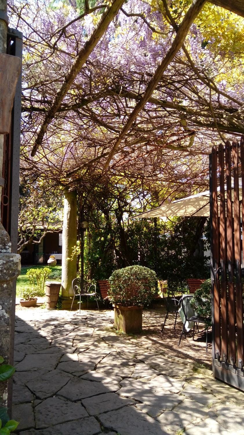 Facade/entrance, Garden