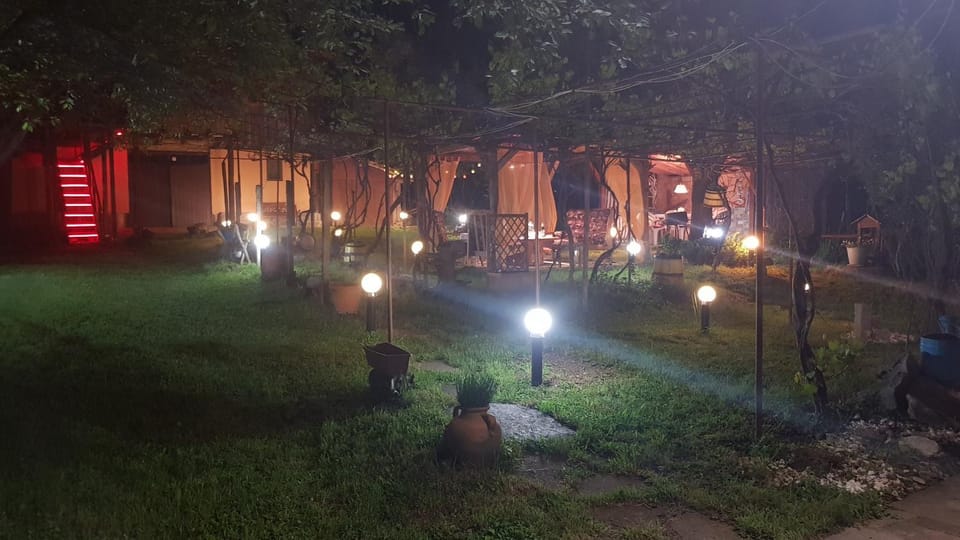 Night, Garden