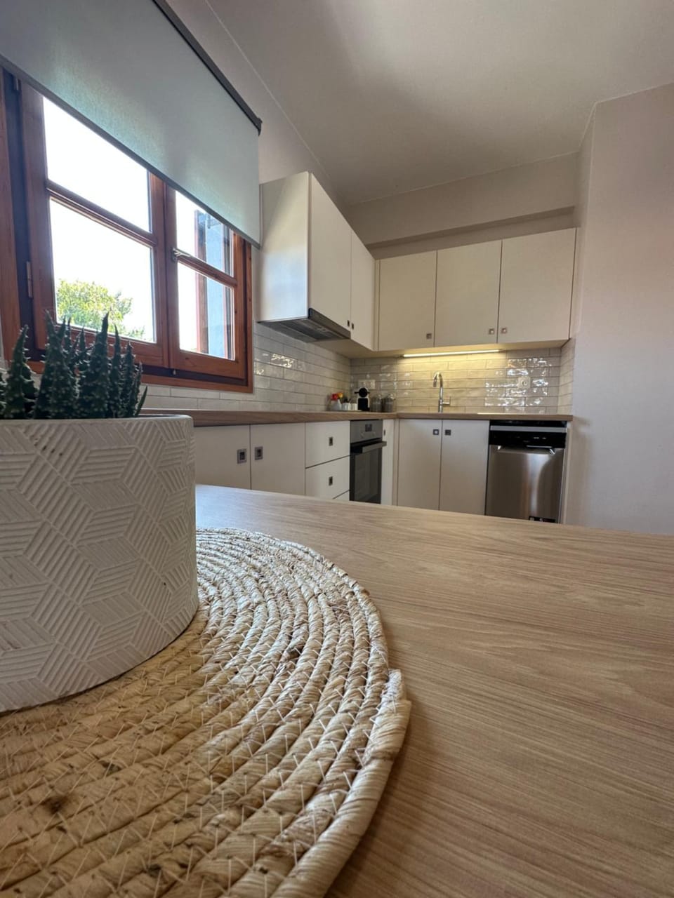 Kitchen or kitchenette, dishwasher, washing machine