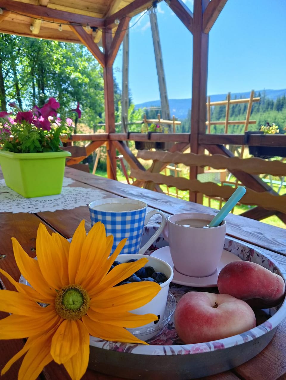 Leśny Domek Farm Stay in Lower Silesian Voivodeship
