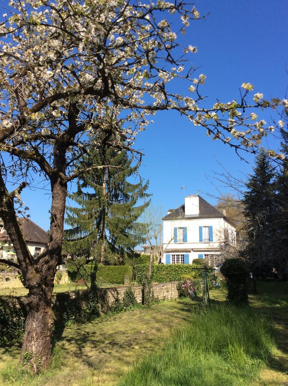 Facade/entrance, Garden, Garden view