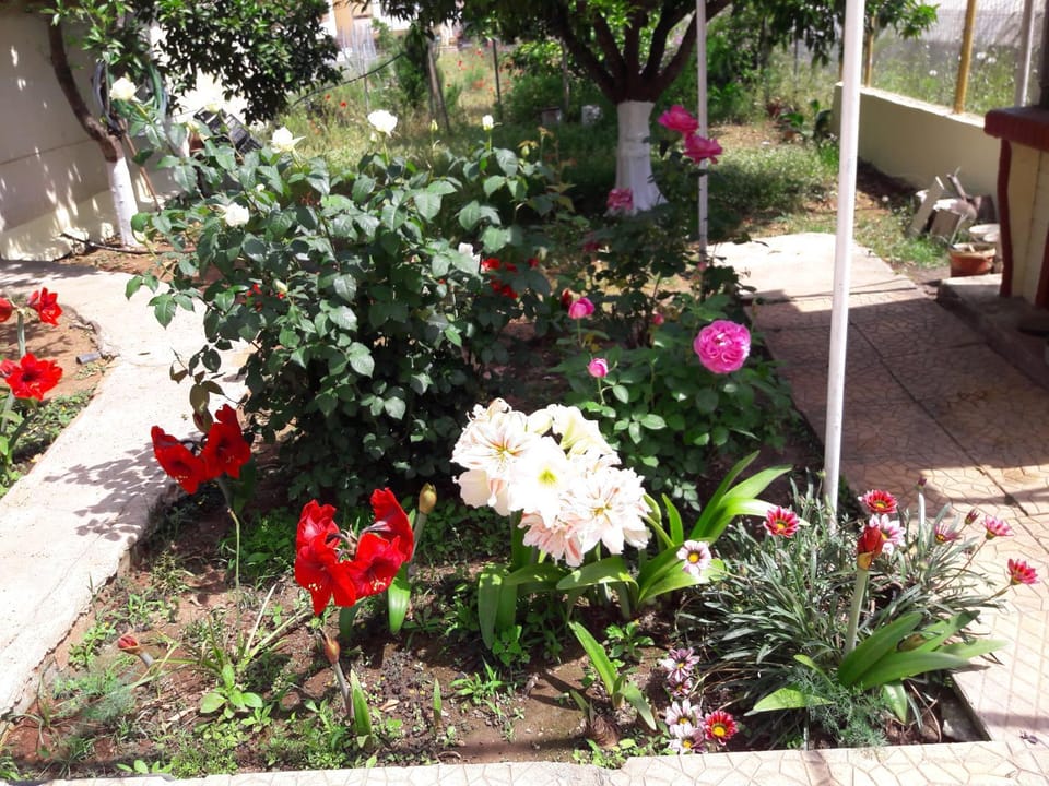 Τhe Roses House Apartment in Peloponnese, Western Greece and the Ionian