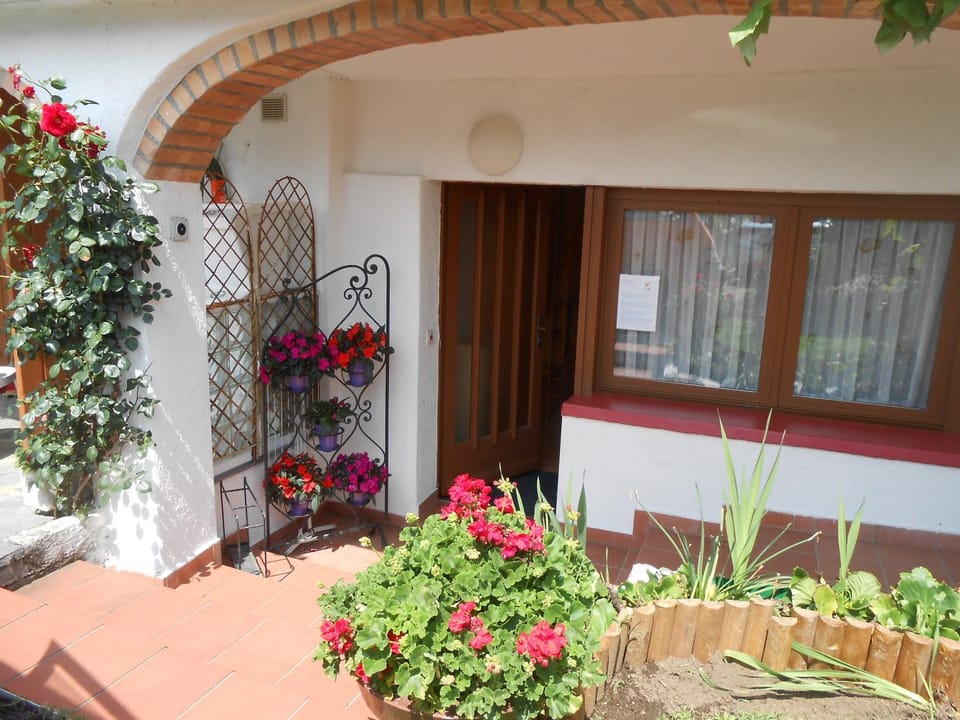 Appartamenti Villa Colibri Apartment in Canton of Ticino