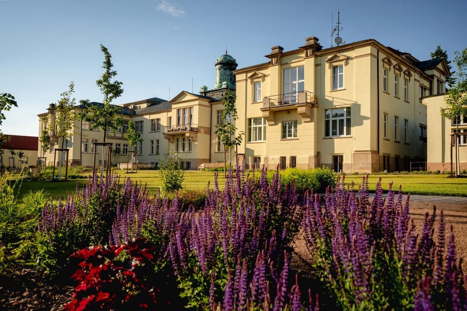 Property building, Neighbourhood, Garden