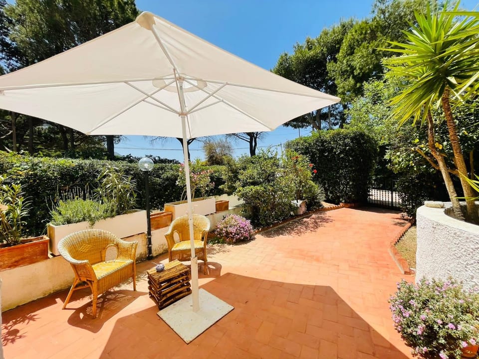 Property building, Patio