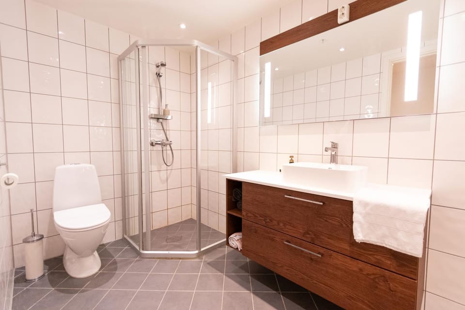 Shower, Toilet, Bathroom, towels