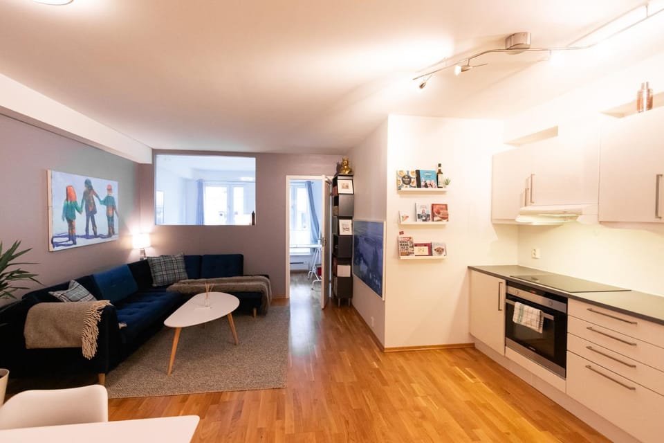 Kitchen or kitchenette, Living room, Seating area, Dining area, Dinner, oven, stove, kitchen