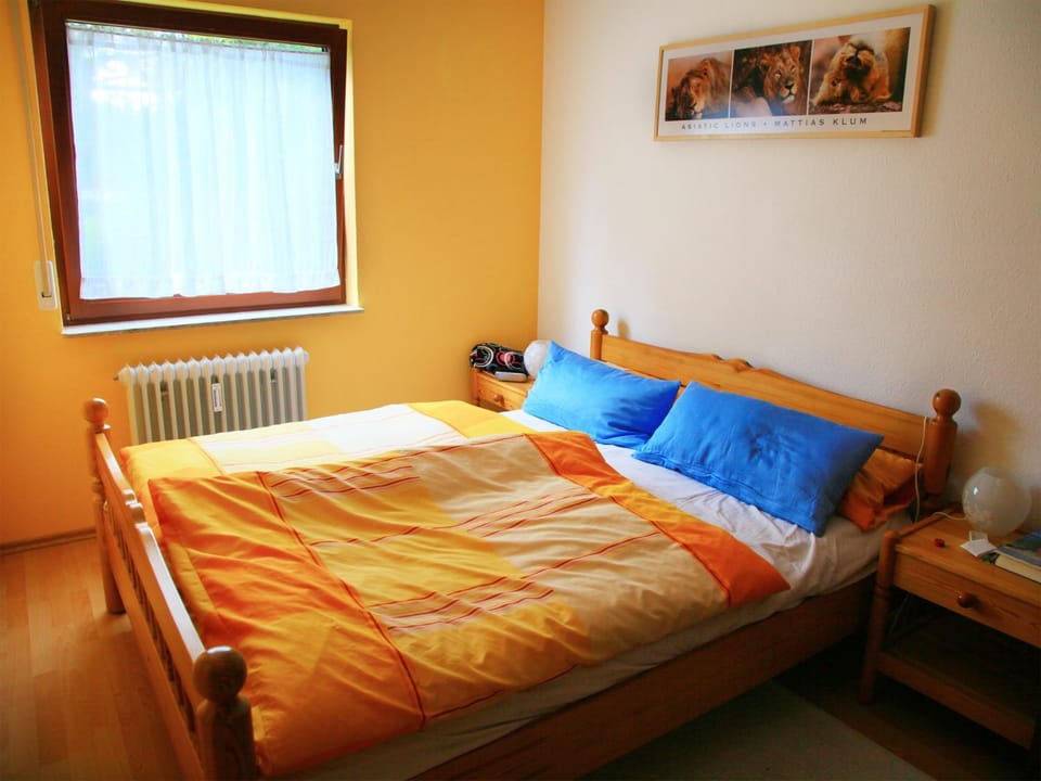 Immenstaad: Große Ferienwohnung Apartment in Baden-Württemberg