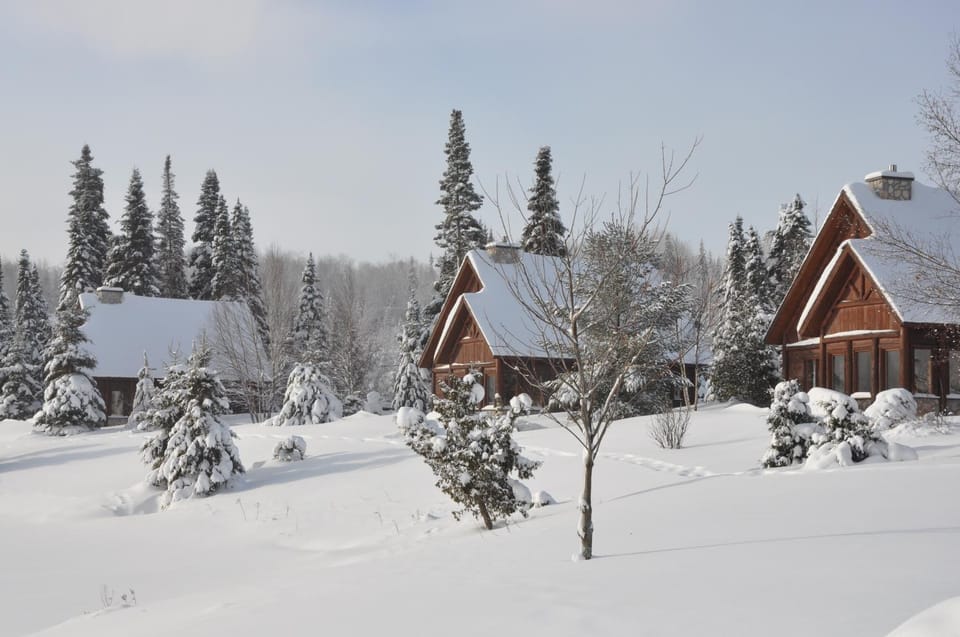 Natural landscape, Winter