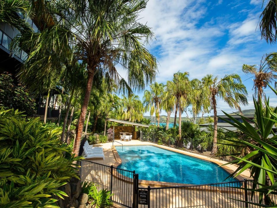 Garden, Swimming pool, sunbed