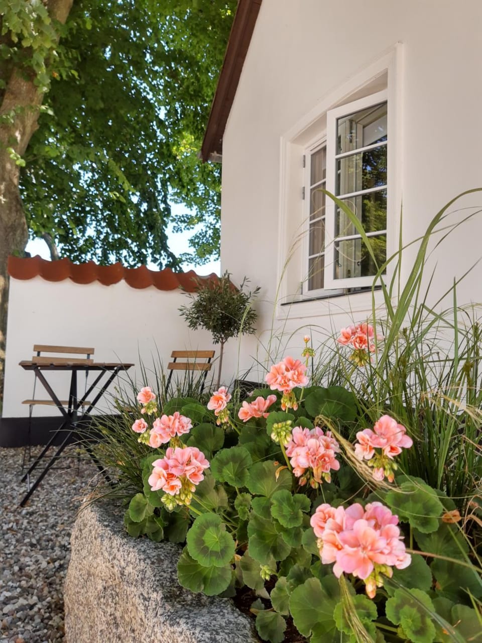 Day, Garden, Garden view