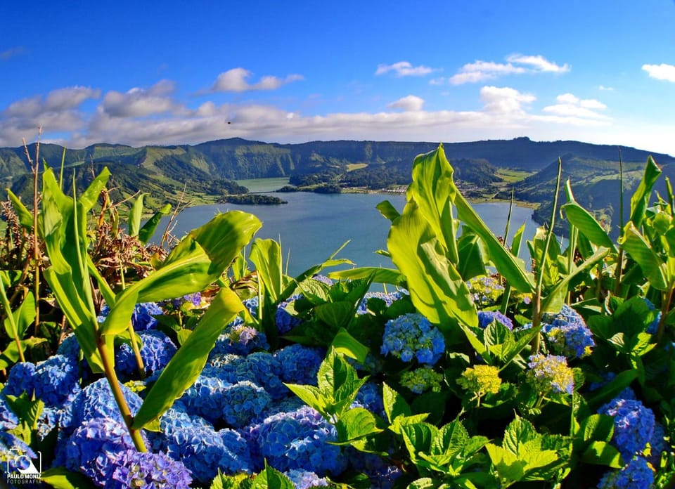 LAGOON'S HOUSE House in Azores District