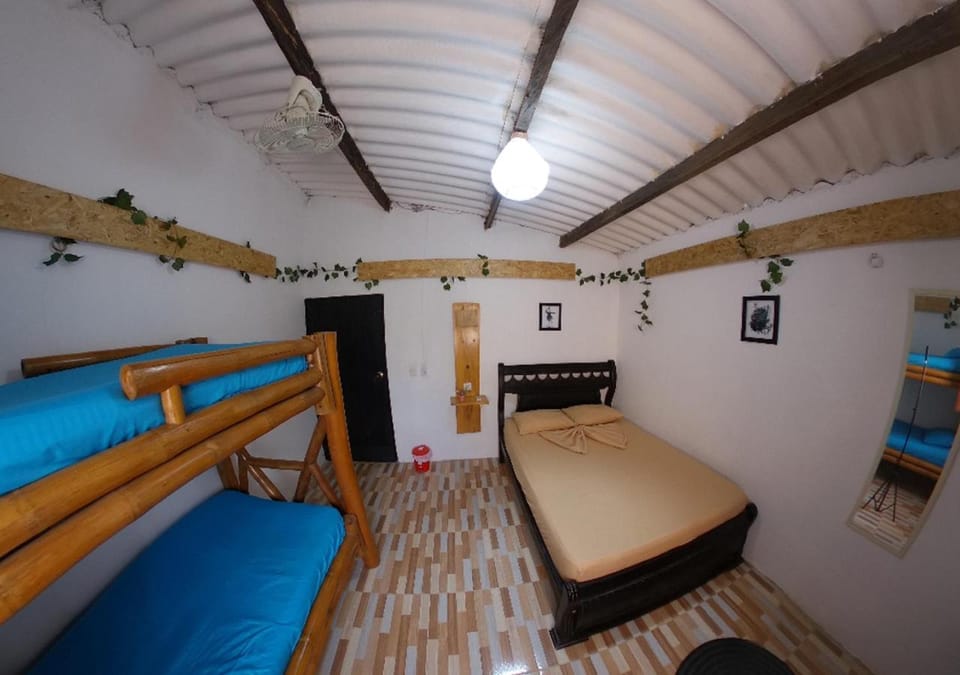 Bed, Photo of the whole room, Bedroom, bunk bed